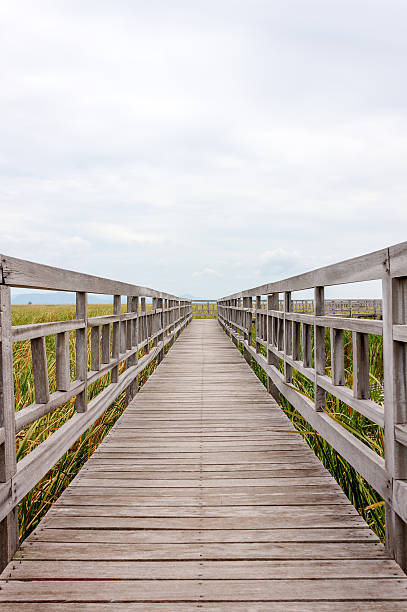 istock bridge and shelter in lake 527543942