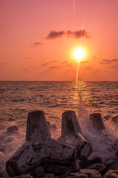 Free Stock Photo of Sunset - Evening over the Sea | Download Free ...