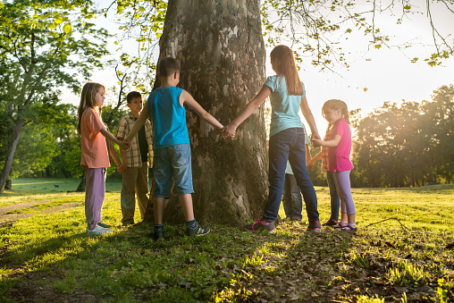 Large group of kids standing around the tree in the park and holding hands.