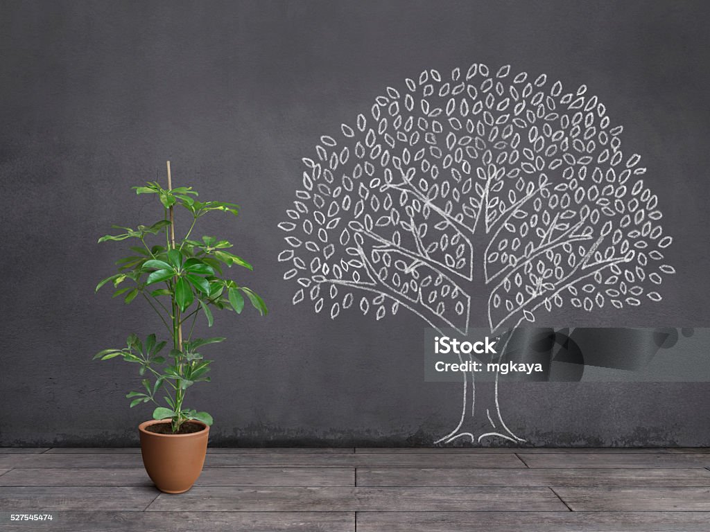 Dream of Houseplant: Being a Big Tree A potted plant on wooden floor and tree with leaves sketched (chalk drawing) on the wall. Aspirations Stock Photo