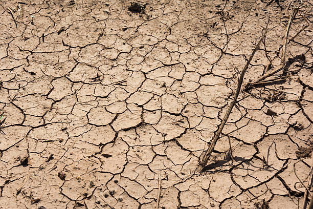 istock Soil crack in hot weather, arid zone. 527548096