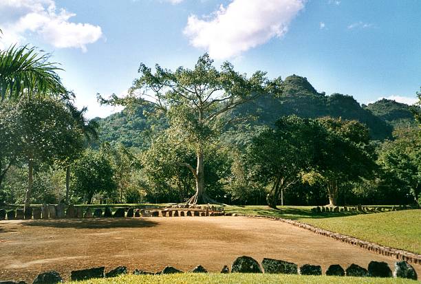 Caguana indigenous ceremonial park, Puerto Rico The Caguana Ceremonial Ball Courts Site in barrio Caguana, Utuado, Puerto Rico, It is considered one of the most important archeological sites in the West Indies with an estimate age of over 700 years old, built by the Taíno around 1270 AD.  Monoliths and petroglyphs carved by the Taínos can be seen among the rocks and stones. ceiba tree photos stock pictures, royalty-free photos & images