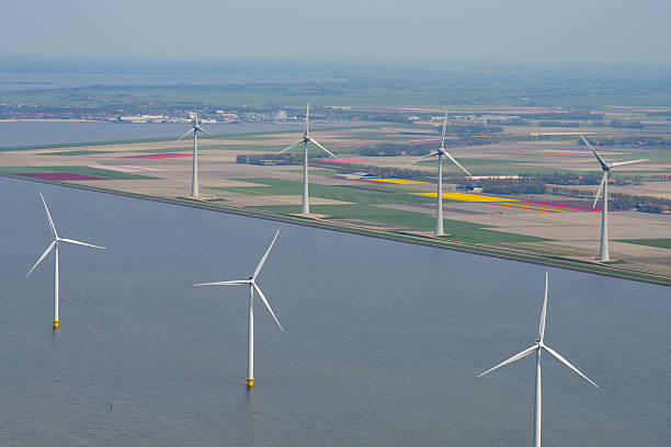 vista aérea de aerogeneradores y campos de flores de tulipán - netherlands dyke polder aerial view fotografías e imágenes de stock