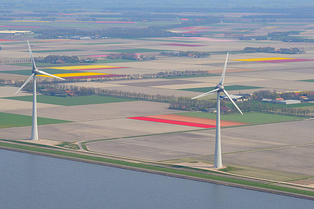 vista aérea de aerogeneradores y campos de flores de tulipán - netherlands dyke polder aerial view fotografías e imágenes de stock