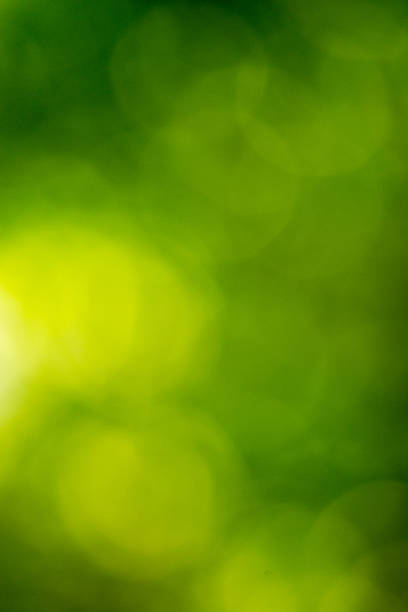 istock Abstract Green Natural Defocused Lights 527551892