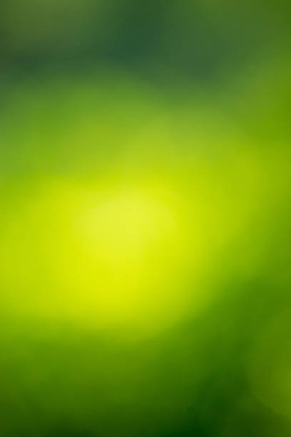 istock Abstract Green Natural Defocused Lights 527552168