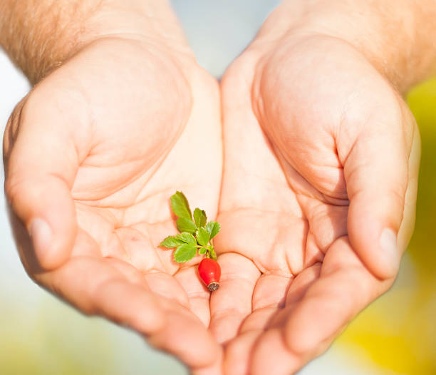 istock male hand holding a hip 527553099