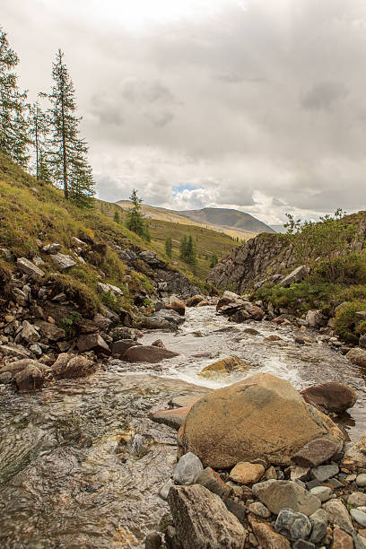 istock Mountain stream in East Sayan mountains. 527553627