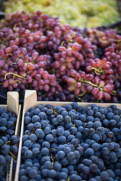 istock Grapes at the market 527553933