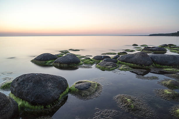 istock rocky beach at sunset with milky water 527555299