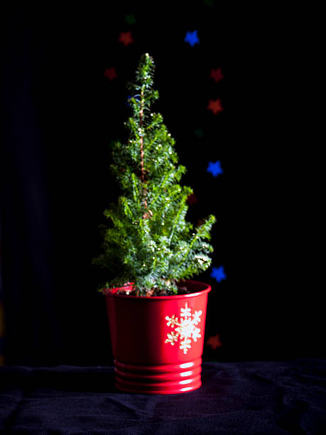 Bokeh Christmas Tree stock photo
