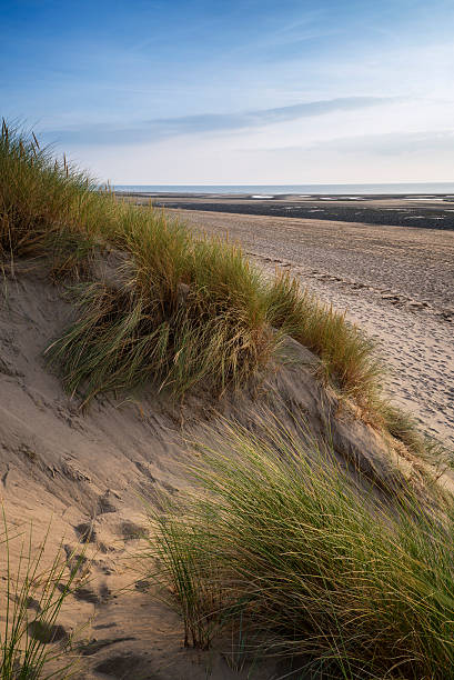 istock Summer evening landscape view over grassy sand dunes on beach 527555681