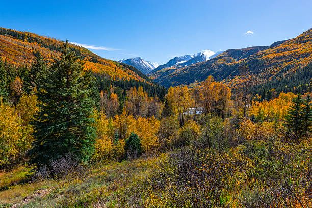 istock Chair Mountain Elk Mountain Range Gunnison County 527555733