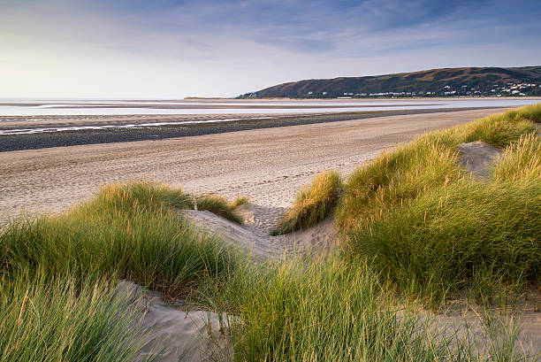 istock Summer evening landscape view over grassy sand dunes on beach 527556647