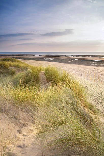 istock Summer evening landscape view over grassy sand dunes on beach 527556651