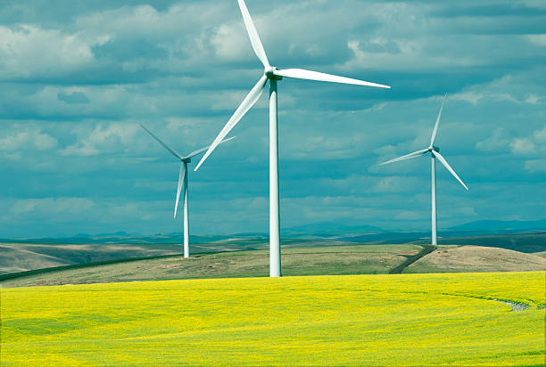 istock Wind turbines and farmland on plateau in eastern Washington state 527557779