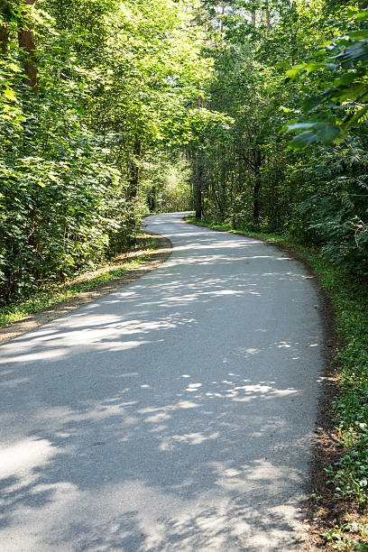 istock slightly lit road in the forest 527566961