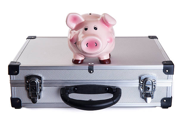 istock Piggy bank on a suitcase 527568277