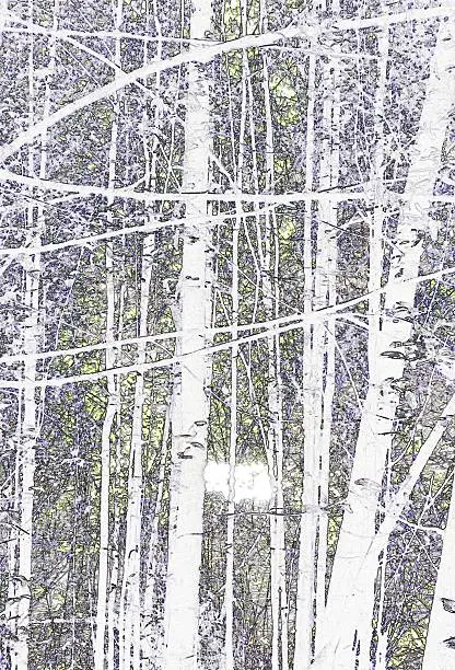 Photo of Traced forest image in soft colour tones