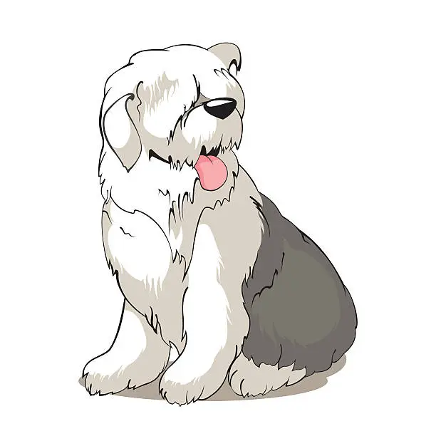 Vector illustration of Bobtail DOG