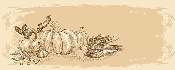 ilustrações, clipart, desenhos animados e ícones de coleção de legumes - cauliflower portion growth vegetable