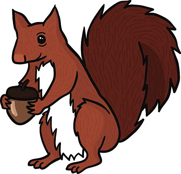 Vector illustration of Squirrel holding an acorn