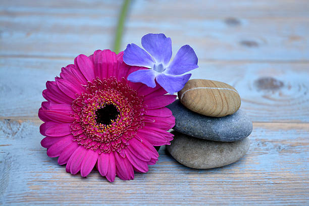 istock Three Zen stones with flowers on used wood 527580107