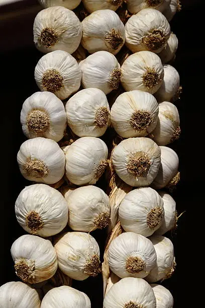 Sicilian garlic ready for sale