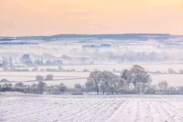 brume d'hiver avec des champs couvert de neige - christmas winter sunset snow photos et images de collection