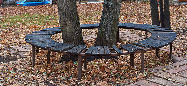 istock Wet bench in autumn park. 527581629