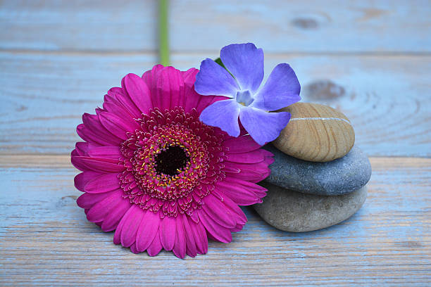 istock Three Zen stones with flowers on used wood 527581745