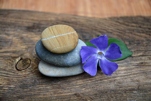 istock Three Zen stones with flower on used wood 527583477
