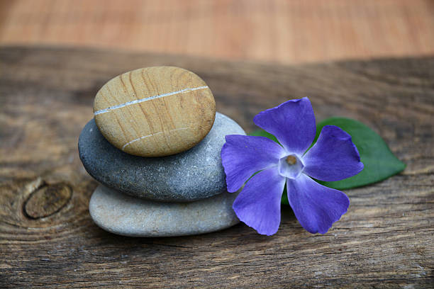 istock Three Zen stones with flower on used wood 527583479