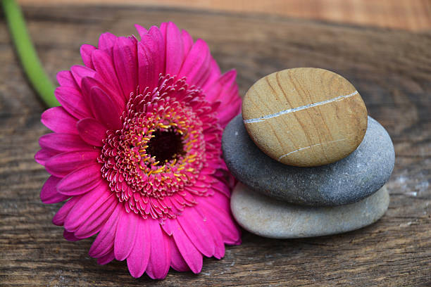 istock Three Zen stones with flower on used wood 527583481