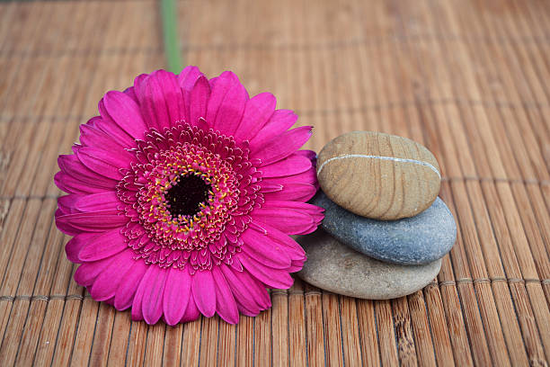 istock Three Zen stones with flower on bamboo reed 527583509