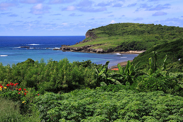 Brazil, Pernambuco state, Fernando de Noronha stock photo