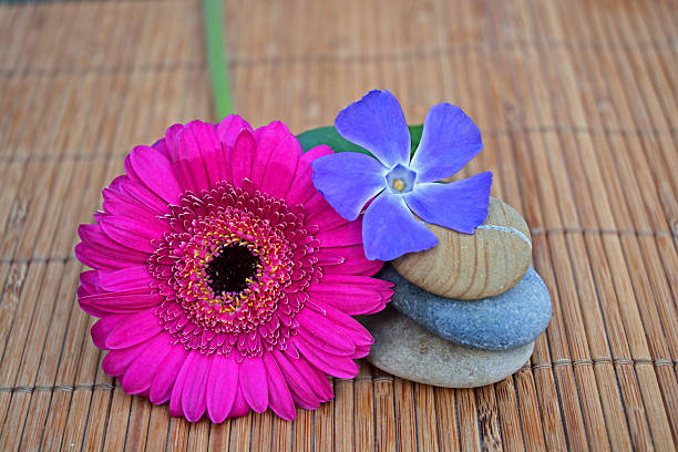 istock Three Zen stones with flowers on bamboo reed 527583549