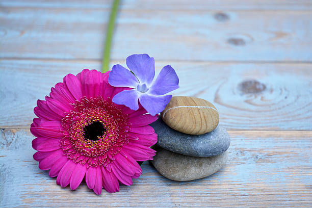 istock Three Zen stones with flowers on used wood 527584159