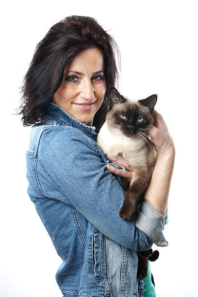 istock woman with siamese cat 527584645