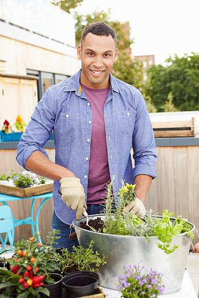istock Man Planting Container On Rooftop Garden 527584835