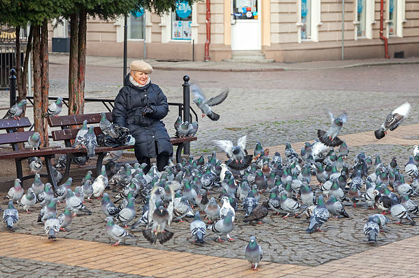 Bialogard, Poland - November 27, 2014: Woman feeding pigeons in Liberty Square located in the hearth of the city.