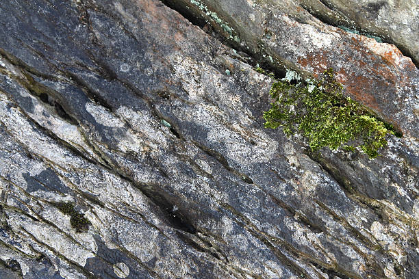 Surface of the old stone stock photo