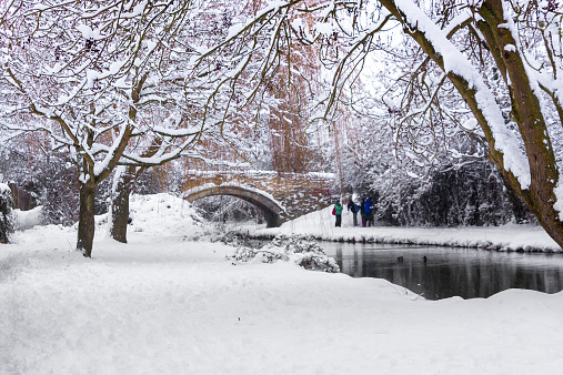 Winter scene of snow around a canal in December