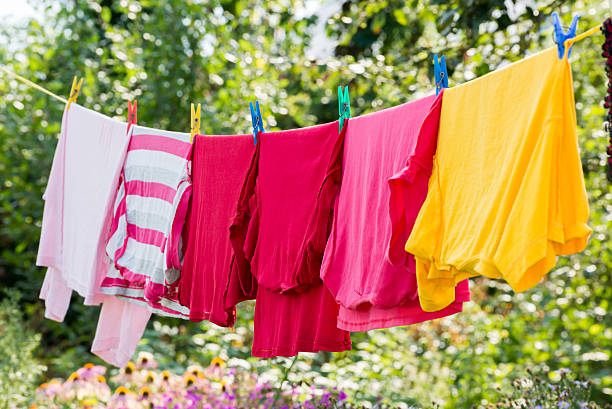 istock Linen is dried on rope in the garden 527618627