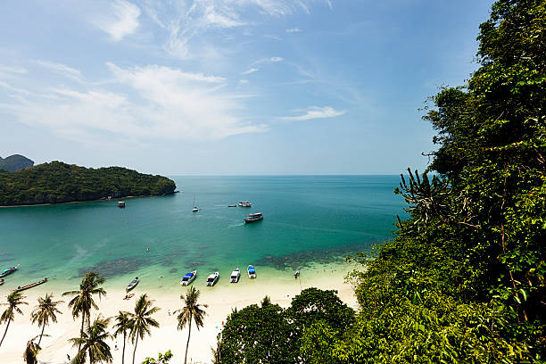 앙통 해양 공원 - ang thong islands 뉴스 사진 이미지