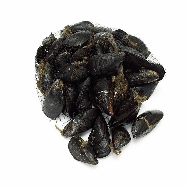 istock Mussels in net, close-up 527631701