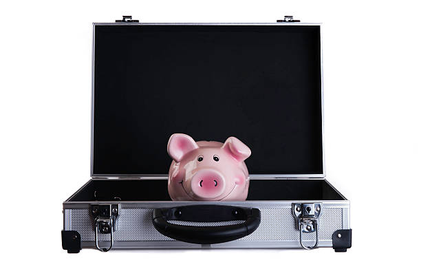 istock Piggy bank on a suitcase 527632779