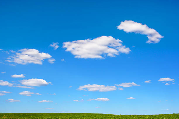 istock Background of the sky and green grass. 527634587