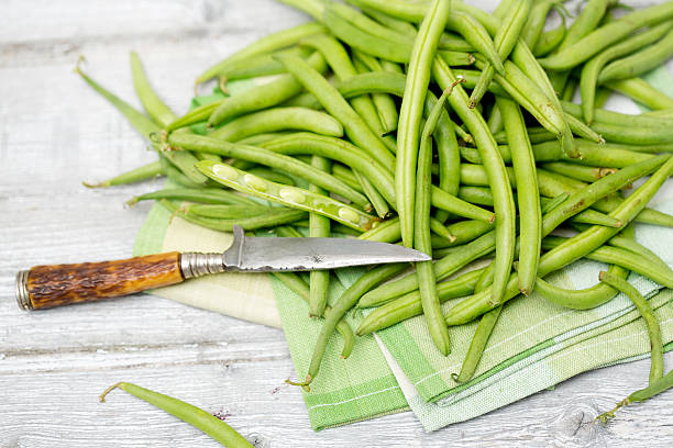 istock Raw green beans (Phaseolus vulgaris) antique knife on cloth napkin 527634663