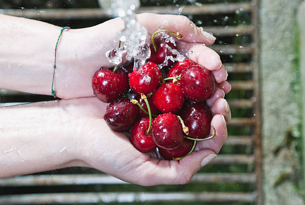istock Italy, Woman's hand washing cherries under water 527635009